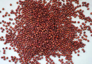 Screenshot 2024-05-08 at 5.44.10 PM